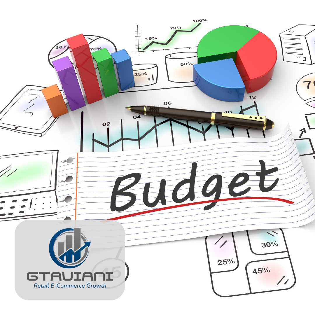 gtaviani ecommerce budget
